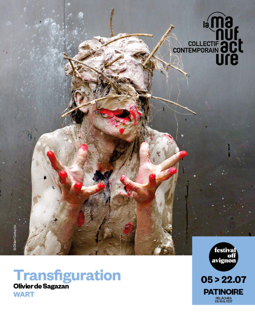 vignette transfiguration